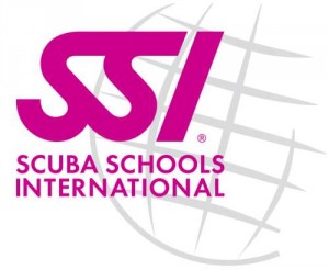 SSI_Logo